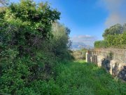 Kampia Chania Kreta, Kampia: Grundstück mit Meerblick in der Nähe des Dorfzentrums zu verkaufen Grundstück kaufen